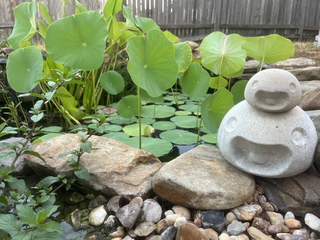 Модель Slime Rancher Slime Mold