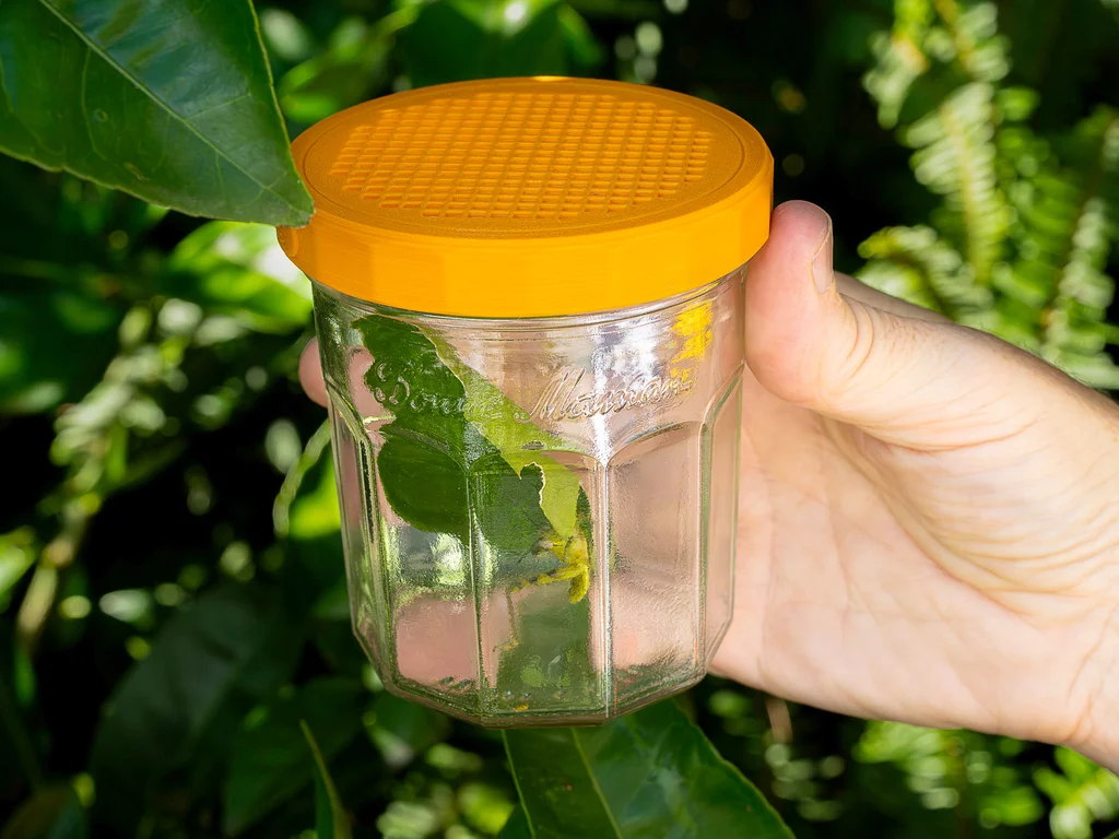 Крышки для банок Bonne Maman для наблюдения за насекомыми