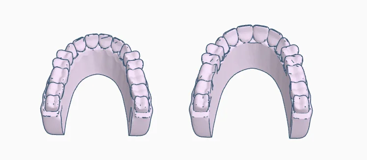 3D модель Модель зубных протезов для обучения - фото 1