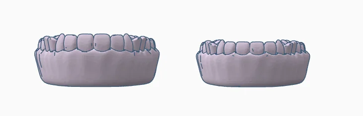 3D модель Модель зубных протезов для обучения - фото 2