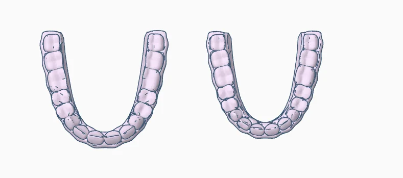 3D модель Модель зубных протезов для обучения - фото 3