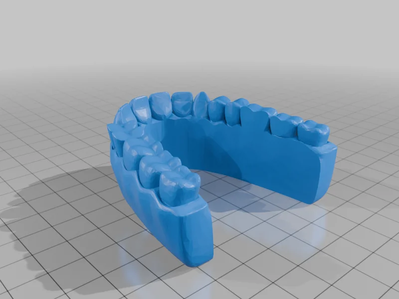 3D модель Модель зубных протезов для обучения - фото 5