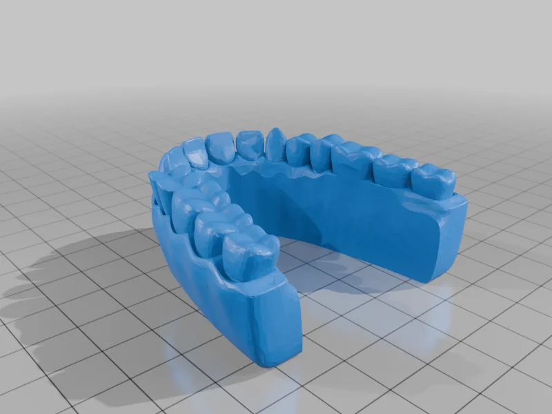 3D модель Модель зубных протезов для обучения - фото 6