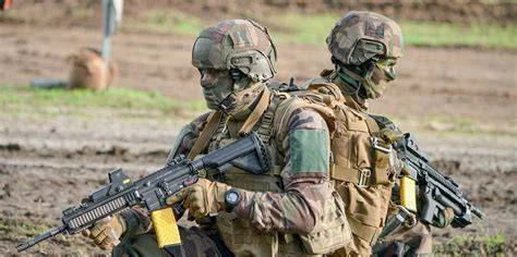 3D модель Современные французские сухопутные силы – Модель 1/12 - фото 4