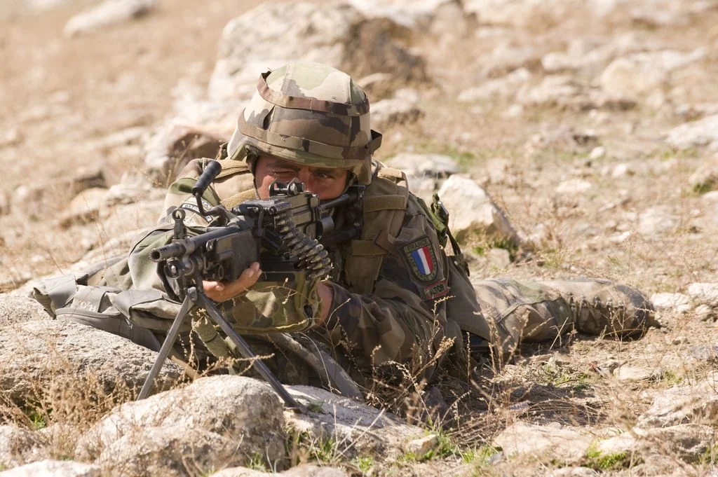 3D модель Современные французские сухопутные силы – Модель 1/12 - фото 8