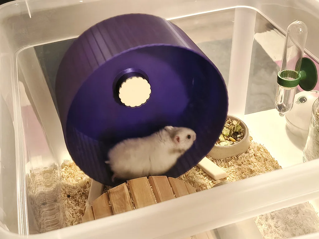 3D модель 3D-модель: Колесо для хом'яка - фото 5