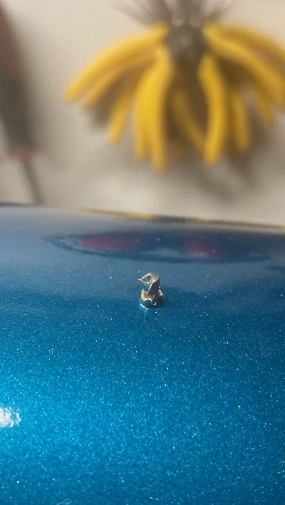 3D модель Яхта IOM "Cutlass" - фото 25