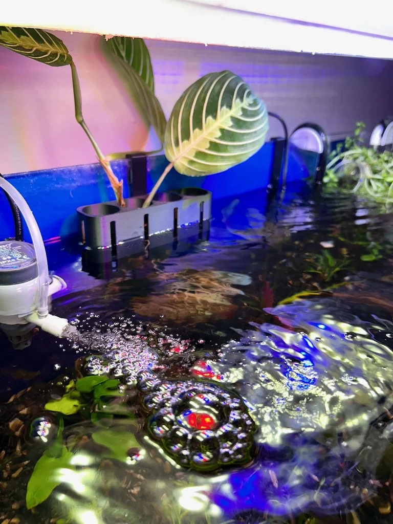 Держатель растений для аквариума x4 - гидропоника