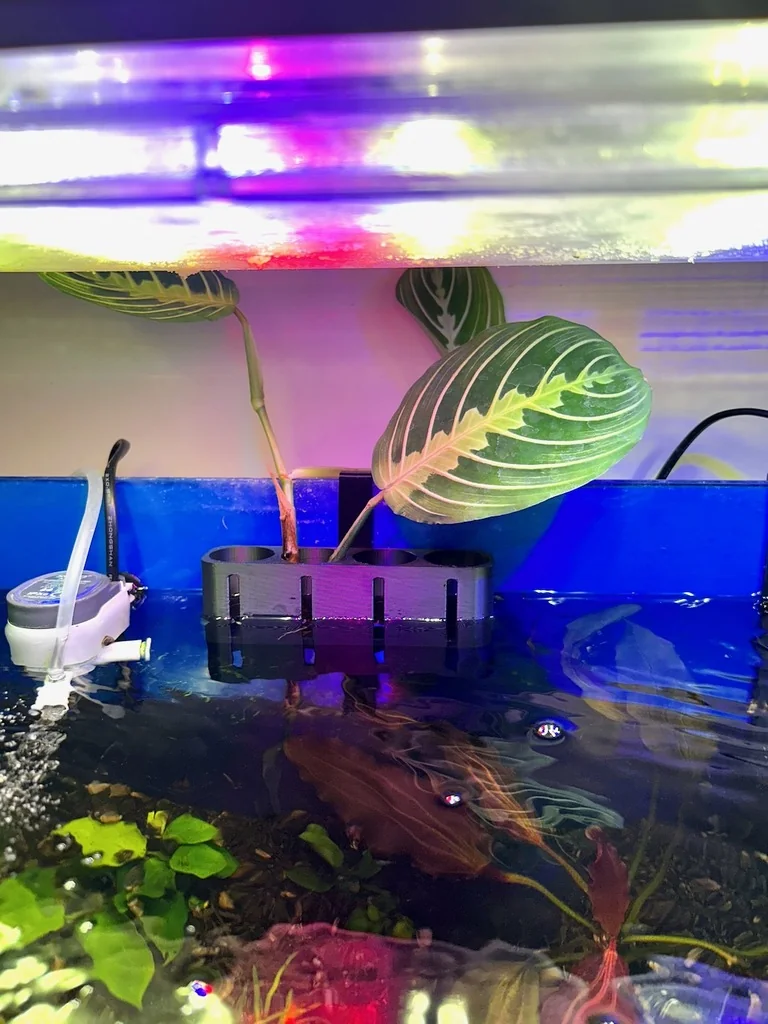 3D модель Держатель растений для аквариума x4 - гидропоника - фото 2