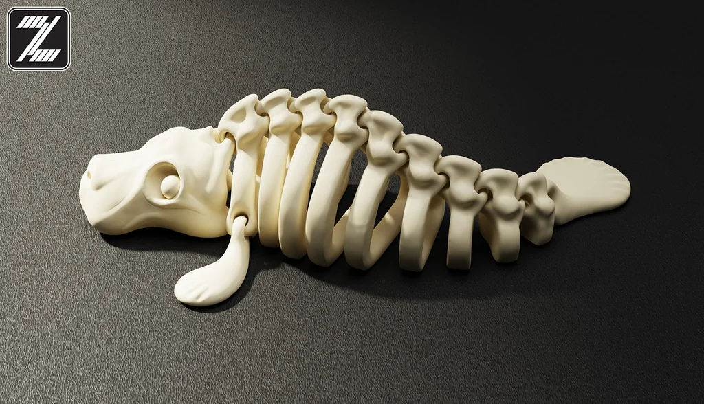 3D модель Скелет Флексибл Манати - фото 4