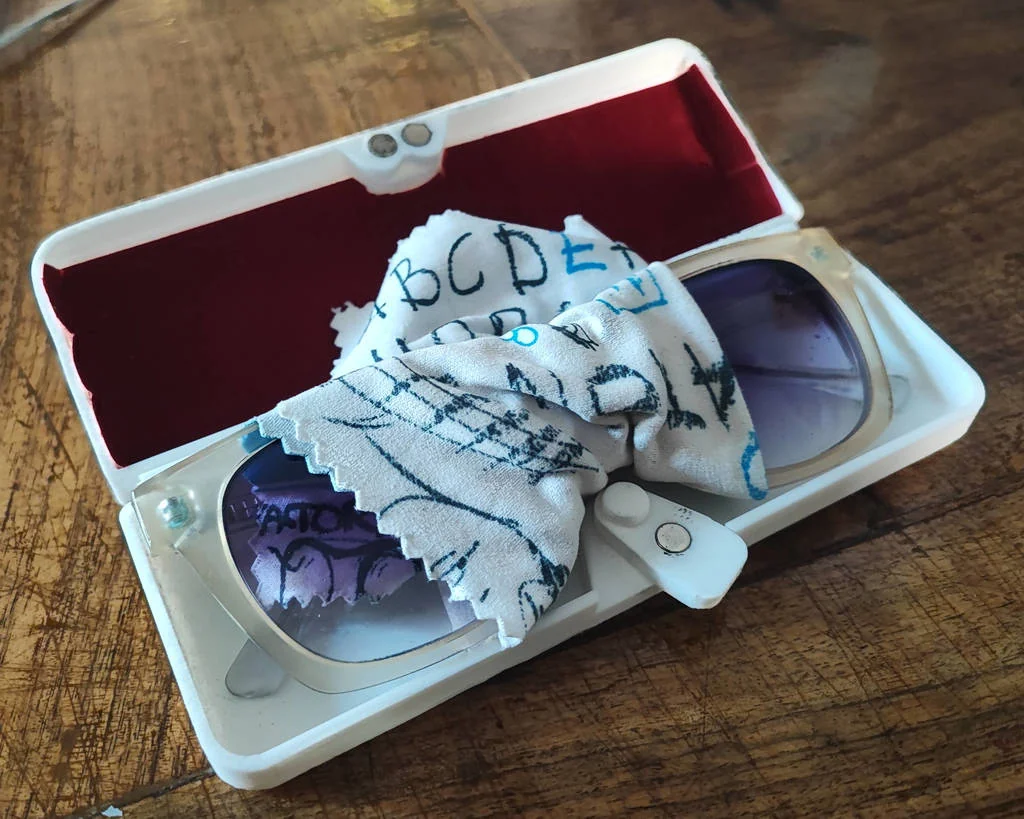 3D модель Магнитный футляр для очков - фото 1