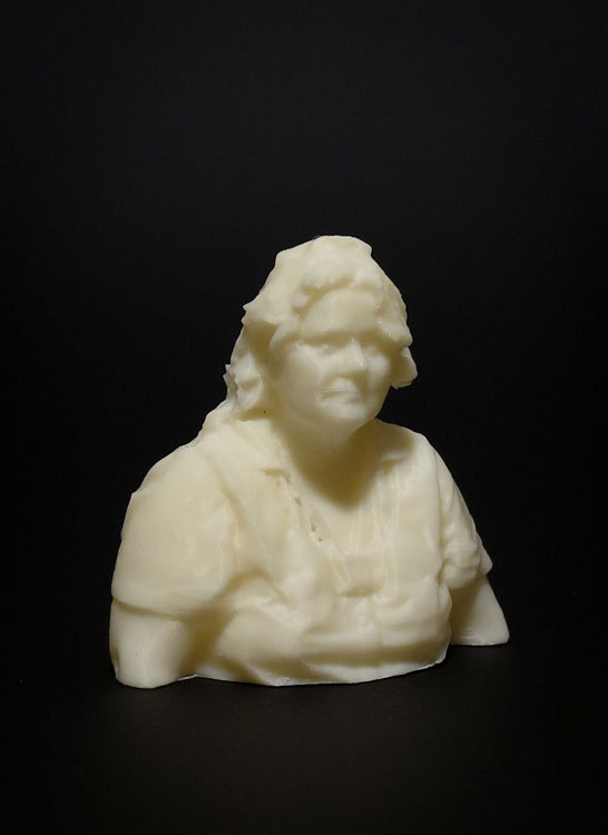 Проект открытой толпы