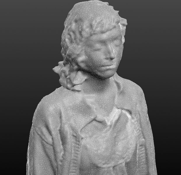 Проект открытой толпы