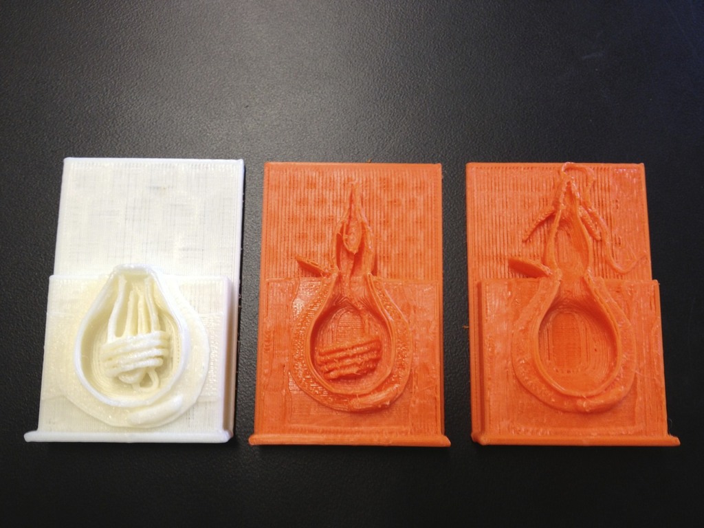 Модель нематоцисты