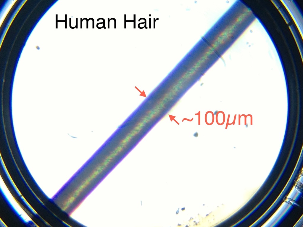 Полностью печатающийся микроскоп