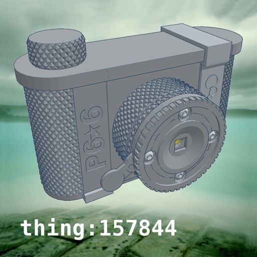 P6*6 120 Пинхол Камера