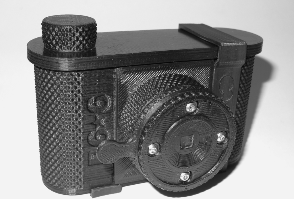 P6*6 120 Пинхол Камера