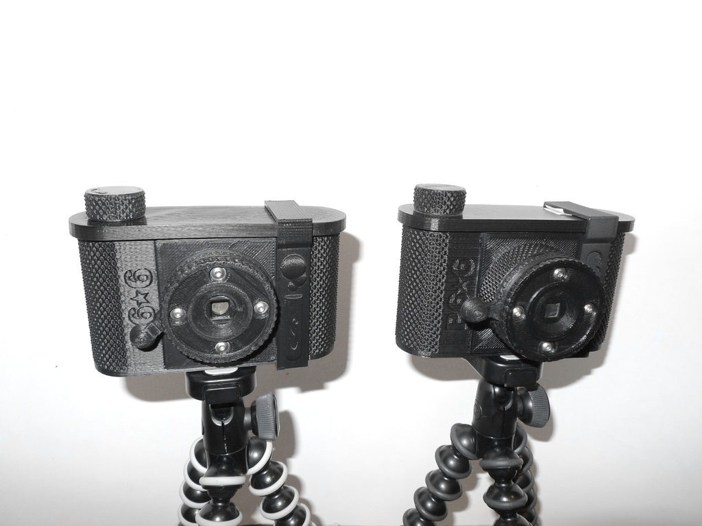 P6*6 120 Пинхол Камера