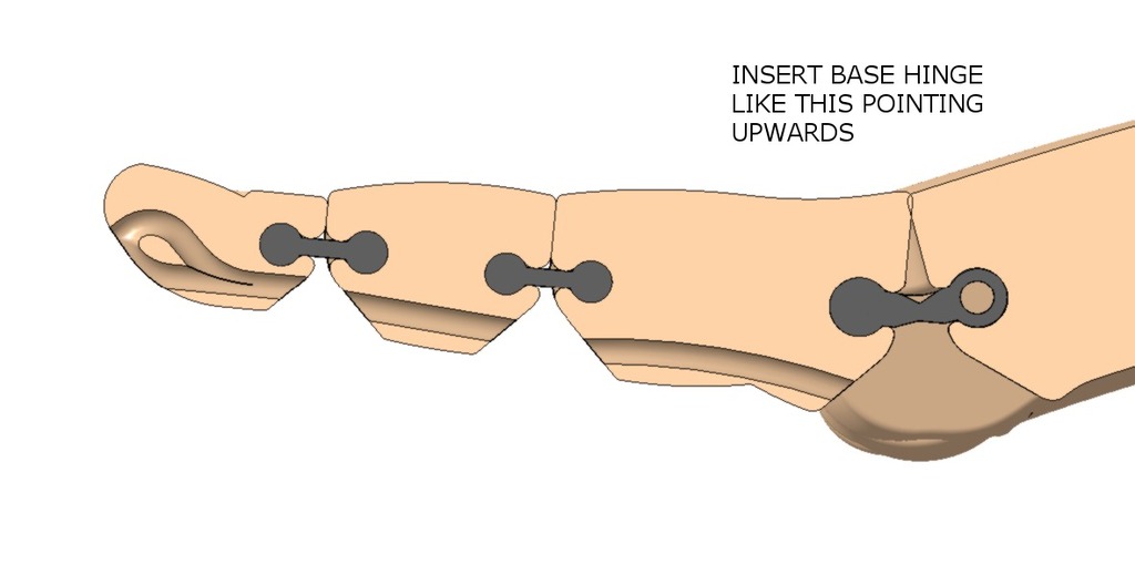 Гибкая 3D-модель руки Flexy-Hand