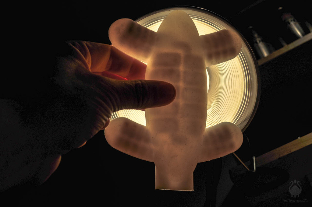 Глаукус: Мягкий робот-квадрупед