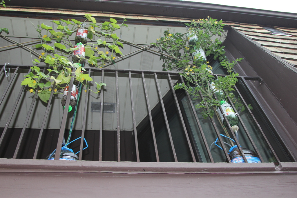 3Dponics - Открытая система для космического садоводства