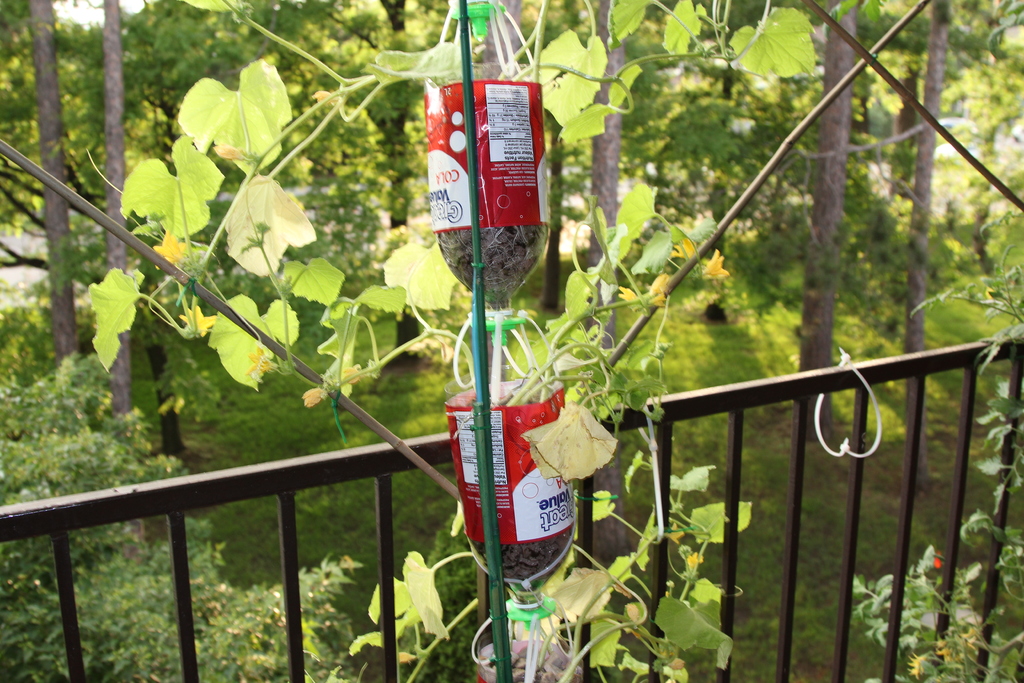 3Dponics - Открытая система для космического садоводства