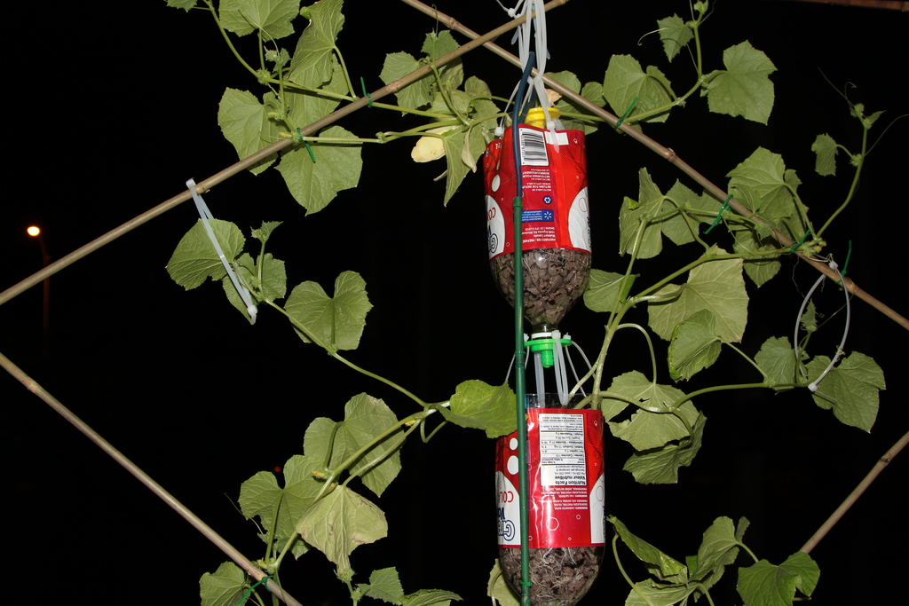 3Dponics - Открытая система для космического садоводства