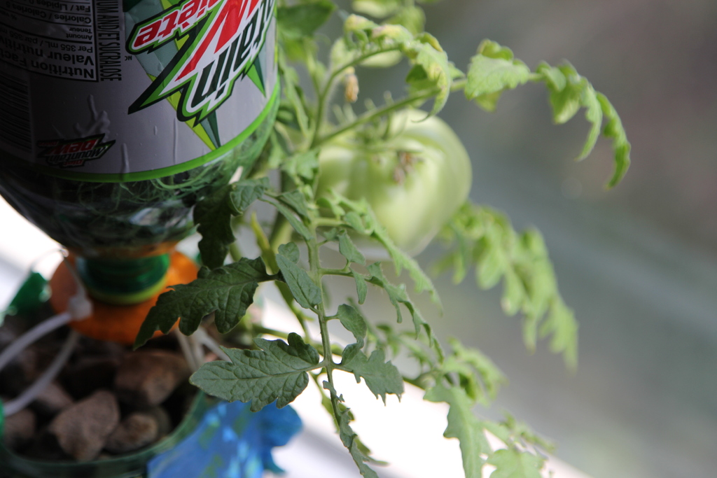 3Dponics - Открытая система для космического садоводства