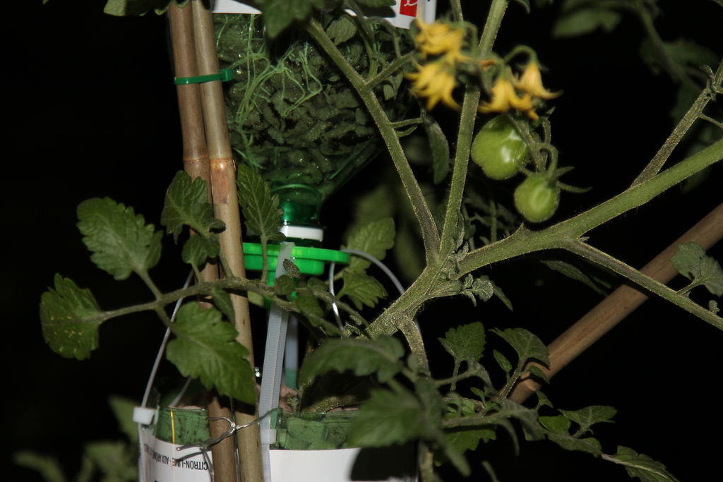 3Dponics - Открытая система для космического садоводства