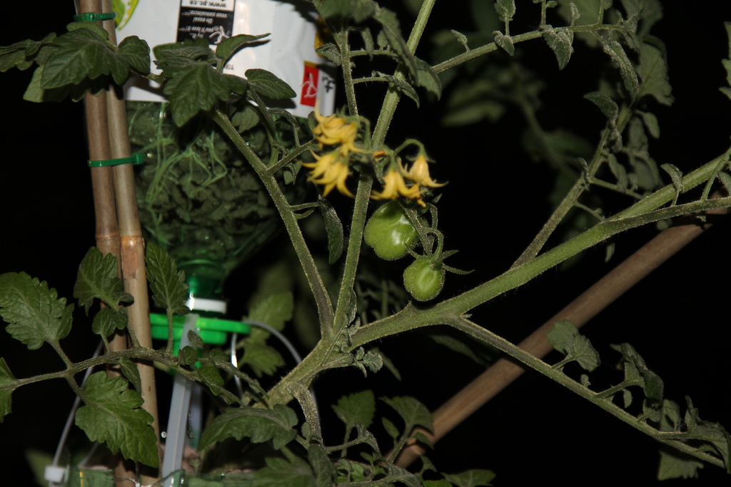 3Dponics - Открытая система для космического садоводства