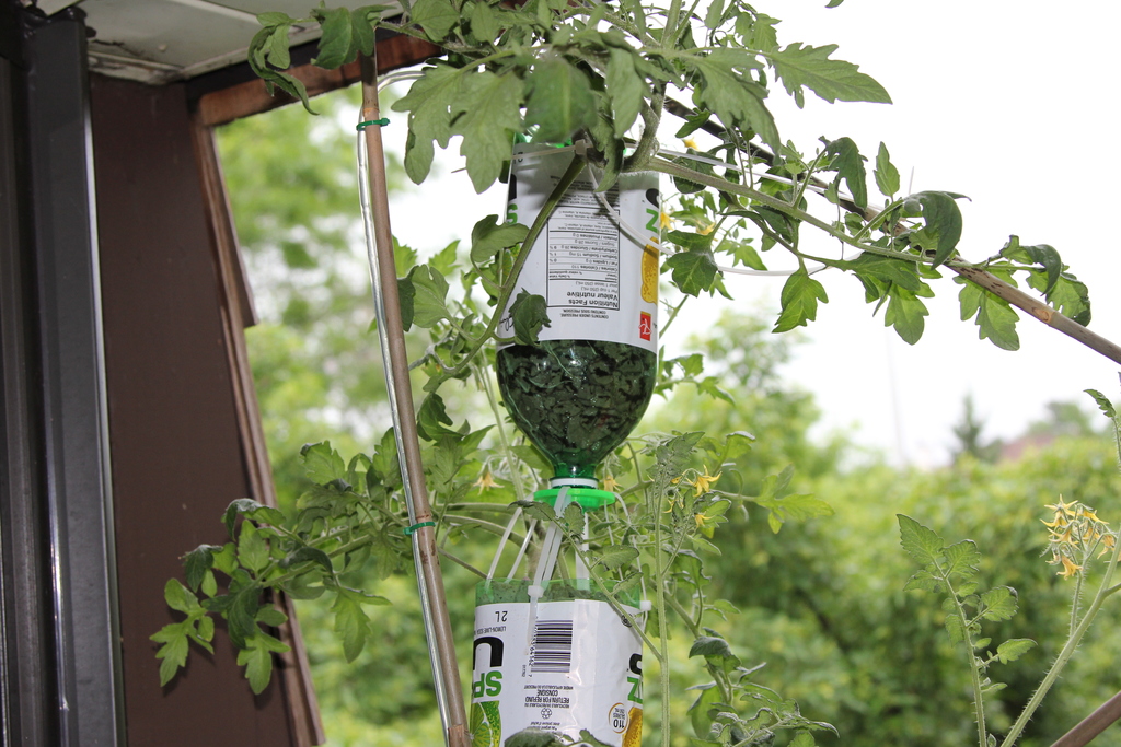 3Dponics - Открытая система для космического садоводства