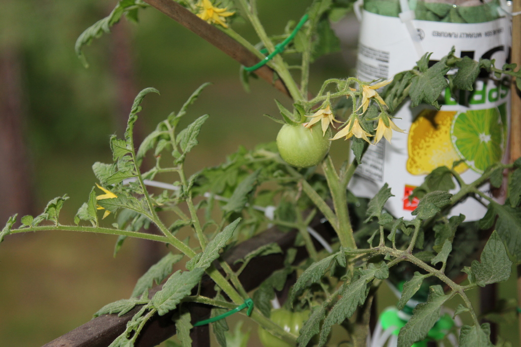 3Dponics - Открытая система для космического садоводства