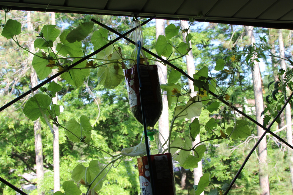 3Dponics - Открытая система для космического садоводства