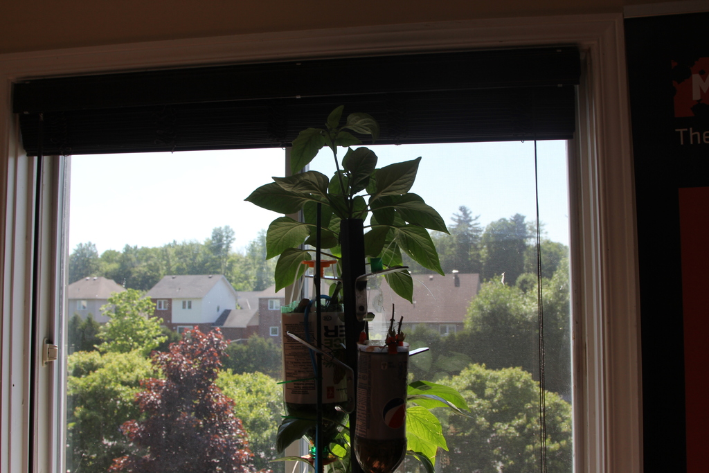 3Dponics - Открытая система для космического садоводства