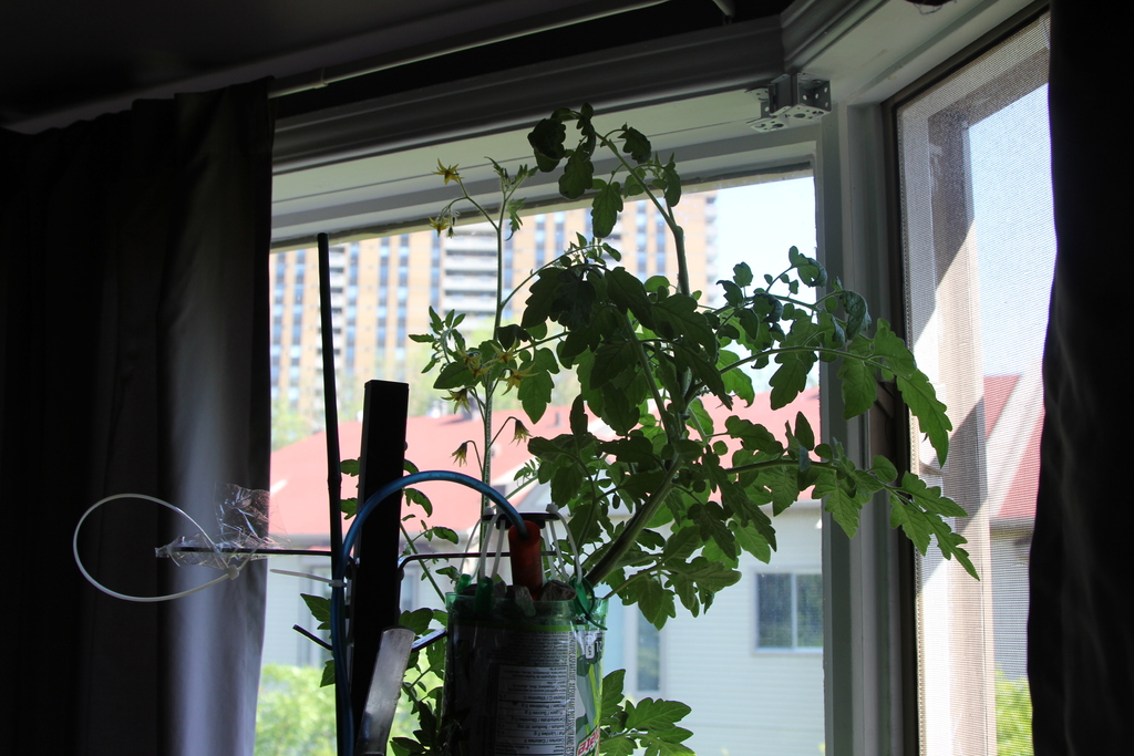 3Dponics - Открытая система для космического садоводства