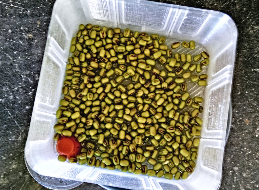 SEEDStack - Модульная система для выращивания семян