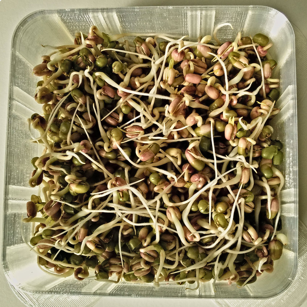 SEEDStack - Модульная система для выращивания семян