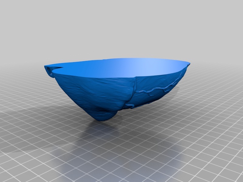 Модель сердца для студентов медицины 1:1