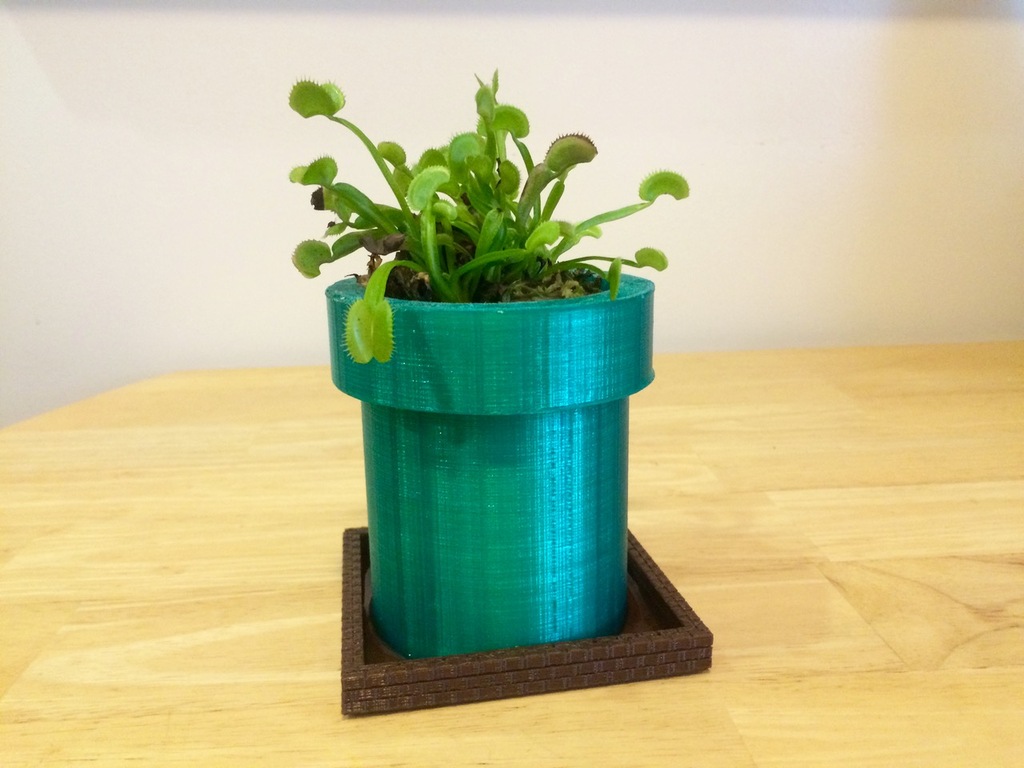 Горшок для растений и поднос в стиле Super Mario