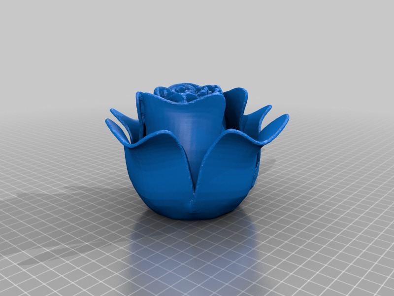 Открытая роза 3D модель