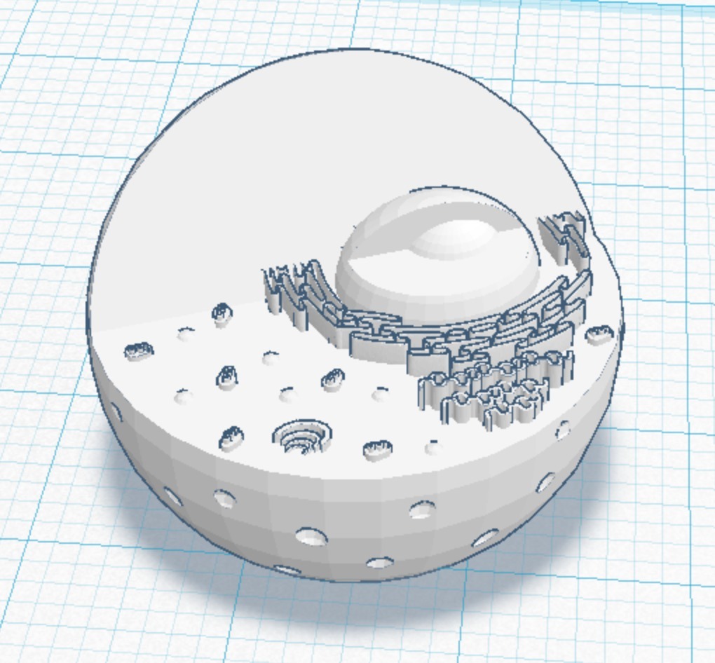 Человеческая клетка