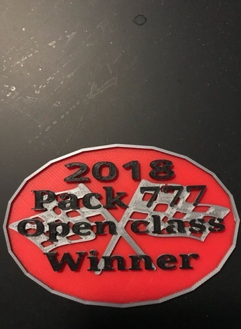 Открытый класс Pinewood Derby