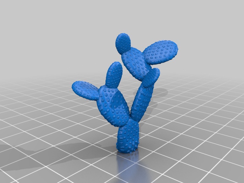 Странный кактус