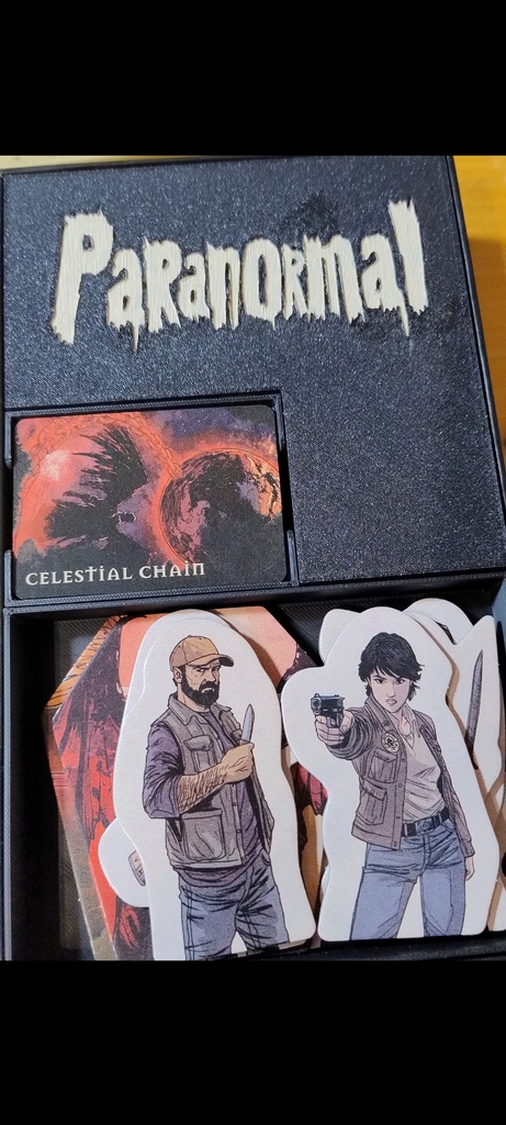 Кастомная вставка для Paranormal