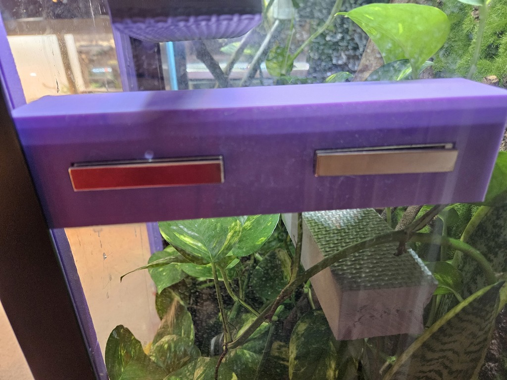 Туннель для кремовых гекконов