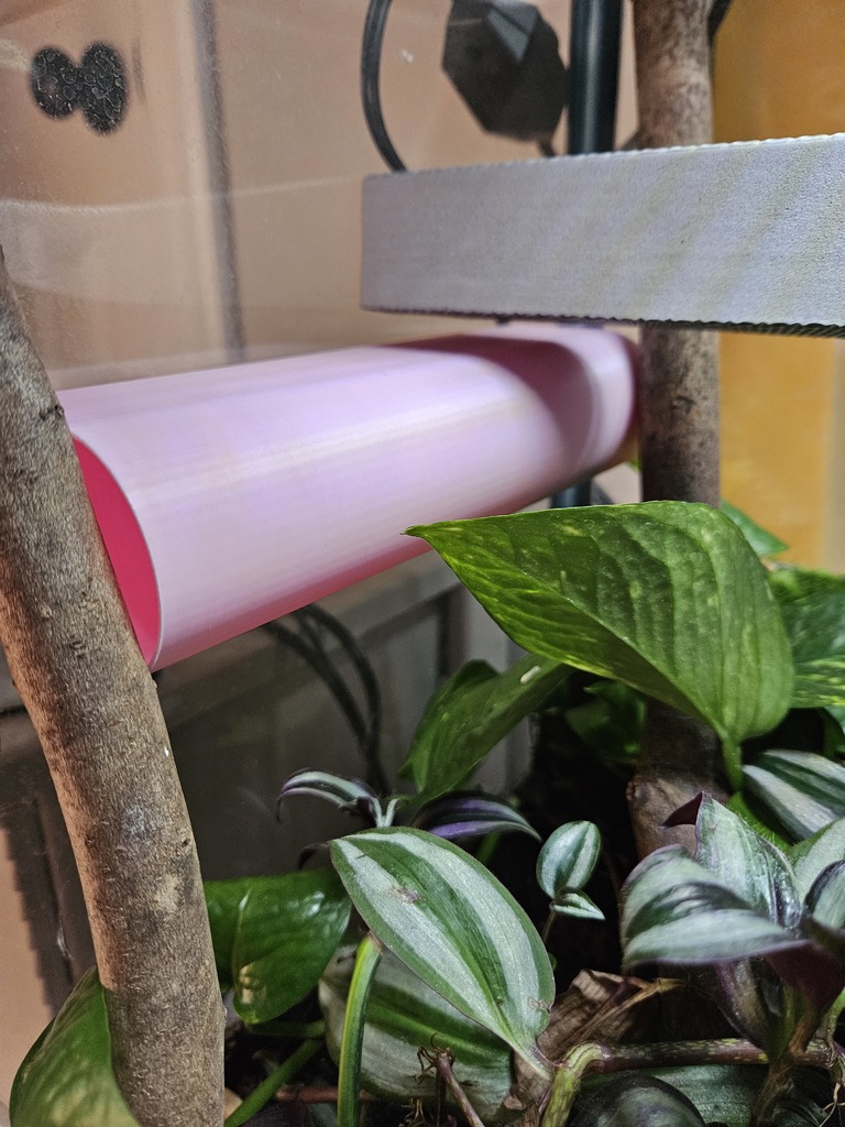 Туннель для кремовых гекконов