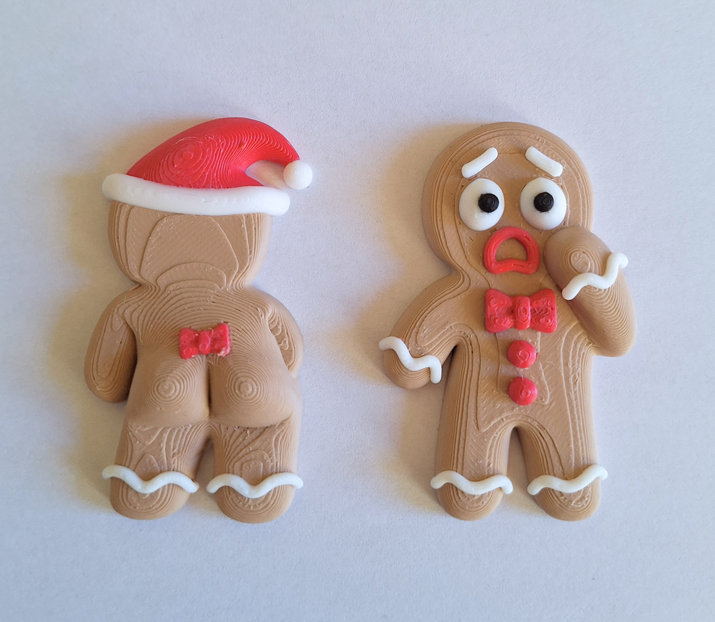 Магнитные печенья petits biscuits coquins