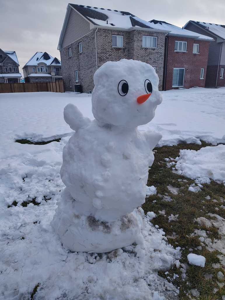 Глазки и Нос-Морковка для Снеговика