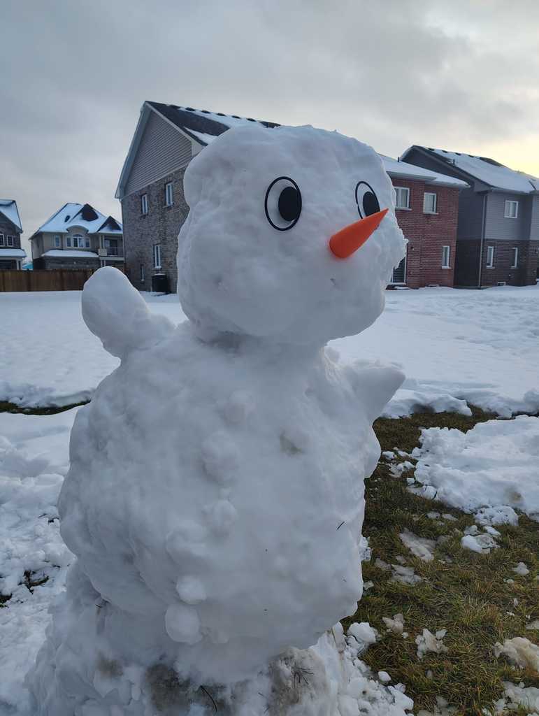 Глазки и Нос-Морковка для Снеговика