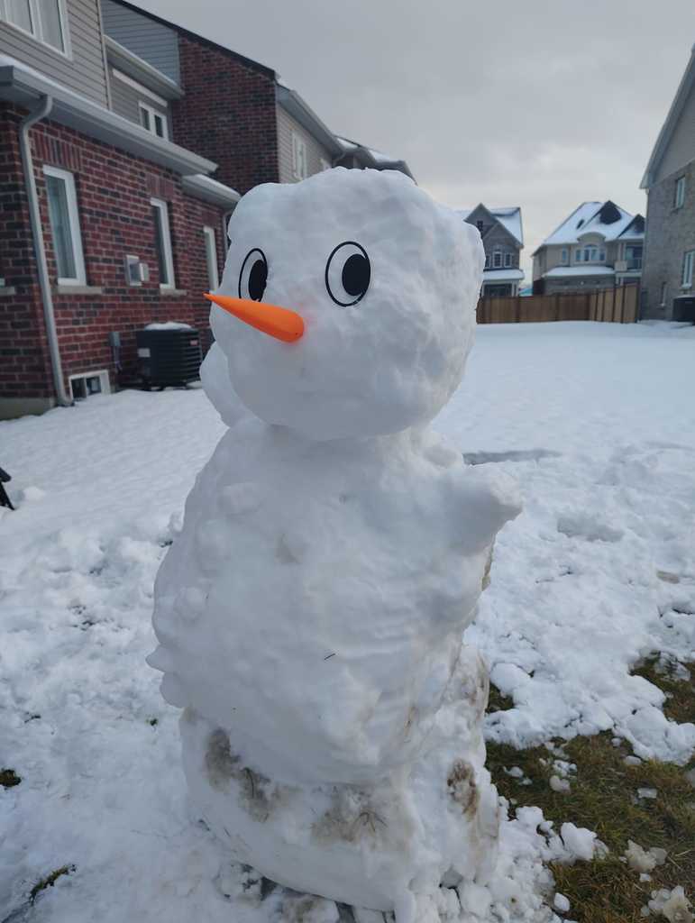 Глазки и Нос-Морковка для Снеговика